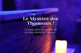 Hôtel le Domaine des Thomeaux